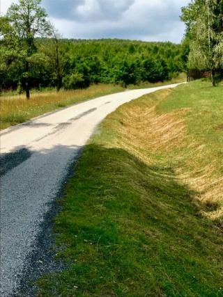 cesta
